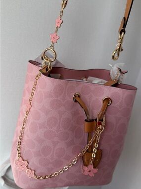 Sakura chains set for coach bags